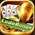 3 patti ludo bonus